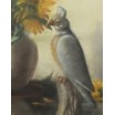 Bukiet ż&oacute;łtych kwiat&oacute;w z papugą pastel na kartonie Mona Martry Belgia 1970r 65/67cm